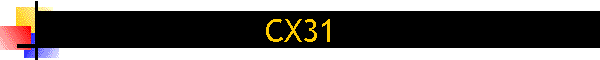 CX31