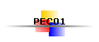 PEC01