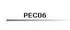 PEC06