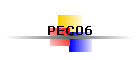 PEC06