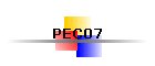 PEC07